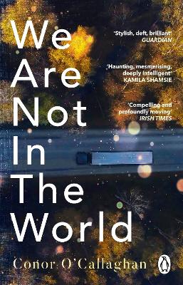 We Are Not in the World: 'compelling and profoundly moving' Irish Times - O'Callaghan, Conor