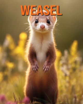 Weasel: Fun Facts Book for Kids with Amazing Photos - Lawrence, Flora