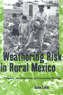 Weathering Risk in Rural Mexico: Climatic, Institutional, and Economic Change