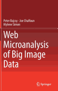 Web Microanalysis of Big Image Data