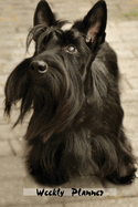 Weekly Planner: Scottish Terrier Scottie Dog Daily Planner 52 weeks Agenda Schedule Organizer 6x9