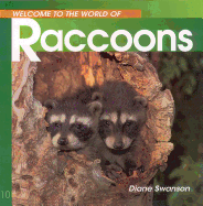 Welcome to the World of Raccoons