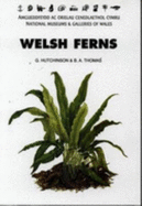 Welsh Ferns, Clubmosses, Quillworts and Horsetails: Clubmosses, Quillworts and Horsetails - A Descriptive Handbook