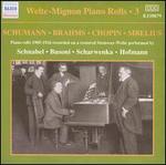 Welte-Mignon Piano Rolls, Vol. 3: Schumann, Brahms, Chopin, Sibelius