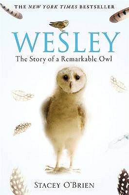 Wesley: The Story of a Remarkable Owl - O'Brien, Stacey