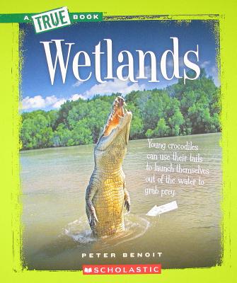 Wetlands - Benoit, Peter