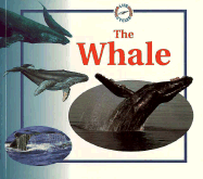 Whale: Life Cycles