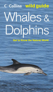 Whales and Dolphins