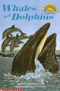 Whales and Dolphins