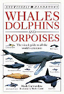 Whales Dolphins and Porpoises