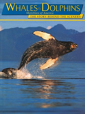 Whales & Dolphins: Shorelines of America - Howorth, Peter C