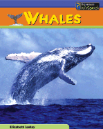 Whales