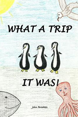 What A Trip It Was - Brookes, John