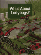 What about Ladybugs?