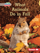 What Animals Do in Fall