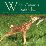 What Animals Teach Us: Life's Lessons Learned from the Animals Around Us - Willow Creek Press, and Donner, Andrea K, and Husar, Lisa