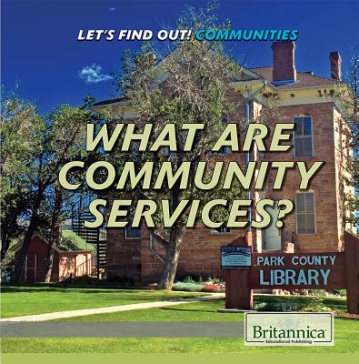 What Are Community Services? - Idzikowski, Lisa