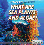 What Are Sea Plants and Algae?