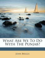 What Are We to Do with the Punjab?