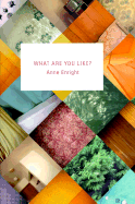 What Are You Like? - Enright, Anne