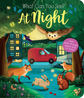 What Can You See? at Night: With Peek-Through Pages and Fun Facts! - Ware, Kate