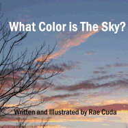 What Color Is the Sky?