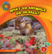 What Do Animals Do in Fall?