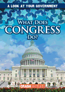 What Does Congress Do?