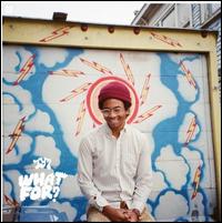 What For? [LP] - Toro y Moi