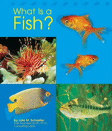 What Is a Fish? - Schaefer, Lola M