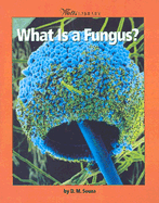 What is a Fungus?