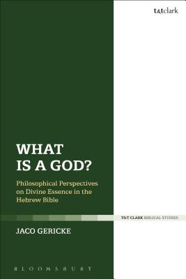 What Is a God?: Philosophical Perspectives on Divine Essence in the Hebrew Bible - Gericke, Jaco