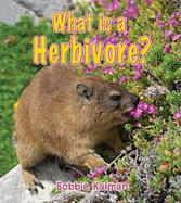 What Is a Herbivore? - Kalman, Bobbie
