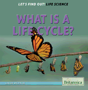 What Is a Life Cycle?