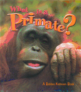 What is a Primate?