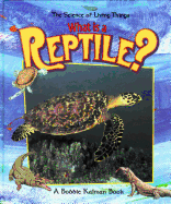 What is a Reptile?