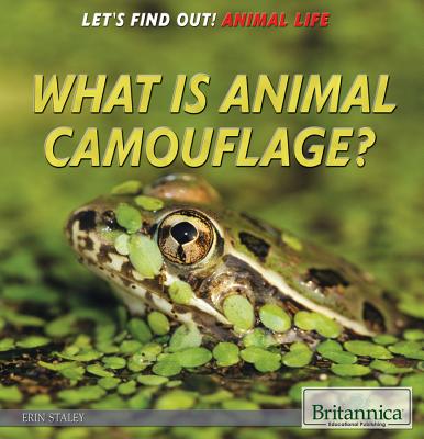 What Is Animal Camouflage? - Staley, Erin