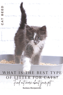 What is the best type of litter for cats?: Find out more about your pet