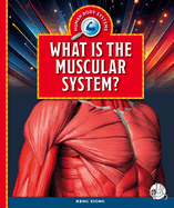 What Is the Muscular System?