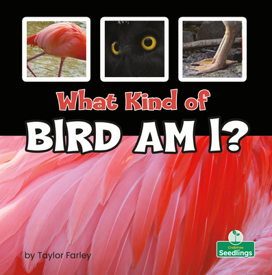 What Kind of Bird Am I? - Farley, Taylor