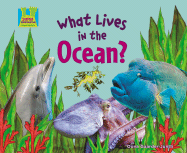 What Lives in the Ocean? - Gaarder-Juntti, Oona