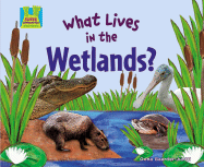 What Lives in the Wetlands? - Gaarder-Juntti, Oona