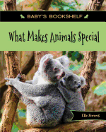 What Makes Animals Special