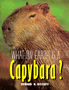 What on earth is a capybara?