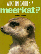 What on Earth is a Meerkat?