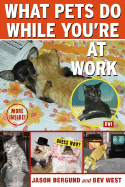 What Pets Do While You're at Work