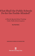 What Shall the Public Schools Do for the Feeble-Minded?: A Plan for Special-School Training Under Public School Auspices