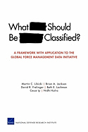 What Should Be Classified?: A Framework with Application to the Global Force Management Data Initiative