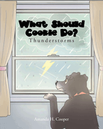 What Should Cookie Do?: Thunderstorms