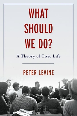 What Should We Do?: A Theory of Civic Life - Levine, Peter